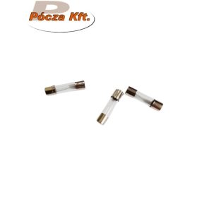 Üvegbiztosíték 5x20mm 5A lomha